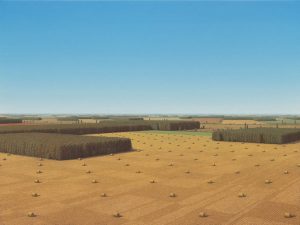 102-Strohballen-2017-150-x-200-cm-Markus.Matthias