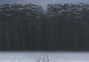 Grosser-Wald-unter-Schnee-2009-Oel-auf-Leinwand-140-x-200-cm-Markus-Matthias